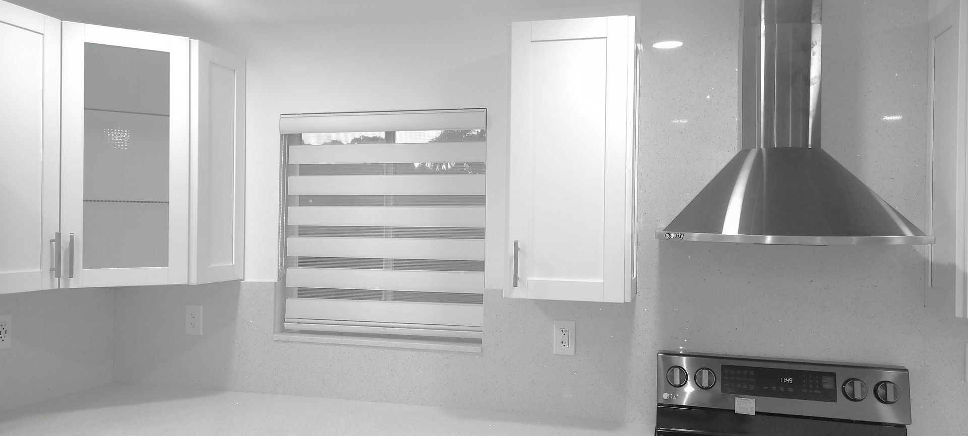 Light Filtering Zebra