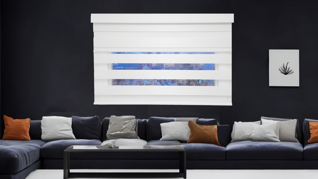 Cordless Dual Blind - Zebra Blind and Blackout